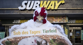 Aktionswelle zur Subway-Kampagne rollt