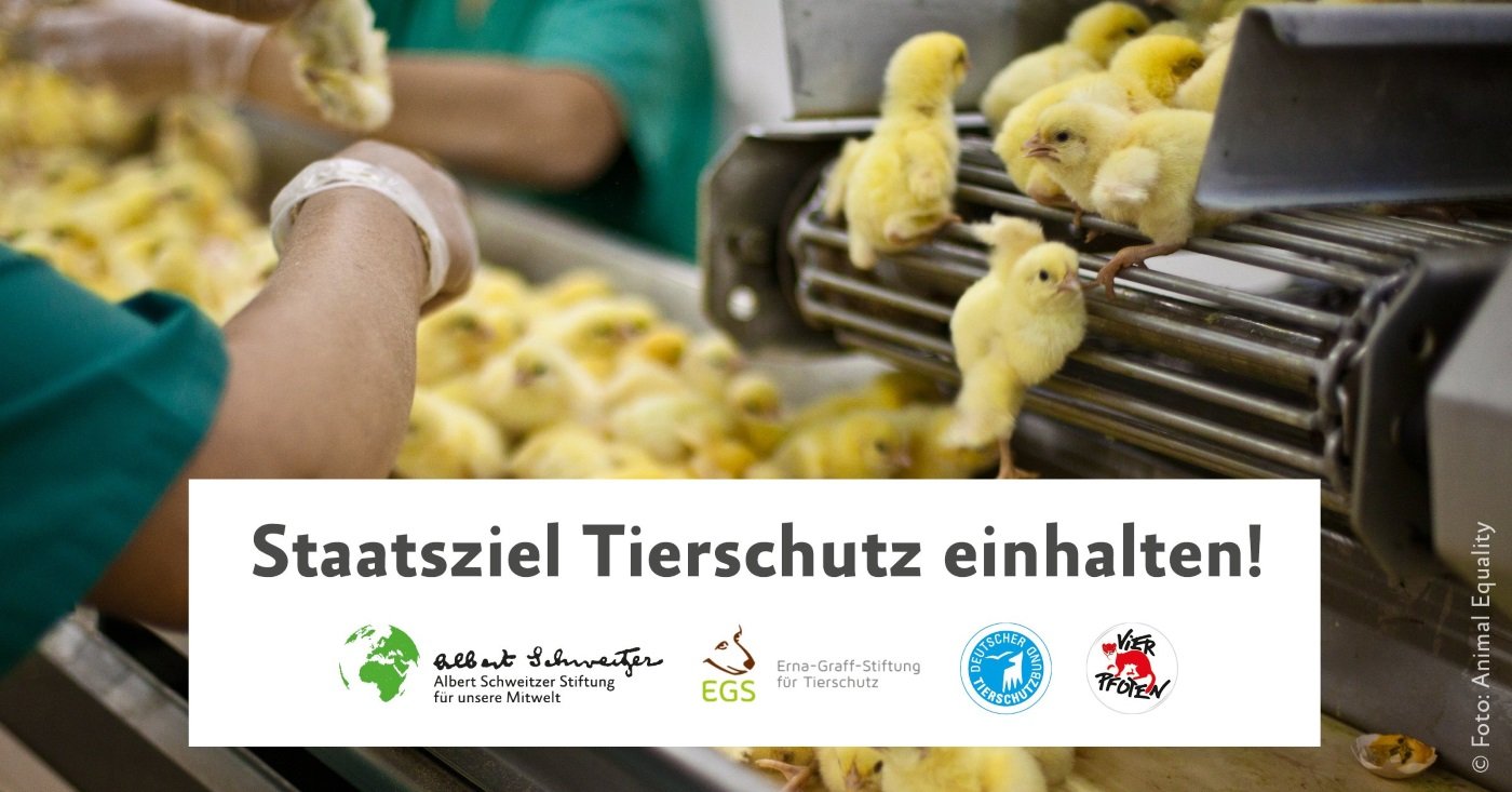 Staatsziel Tierschutz einhalten
