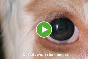 Video-Reihe: »Erzähl von mir«