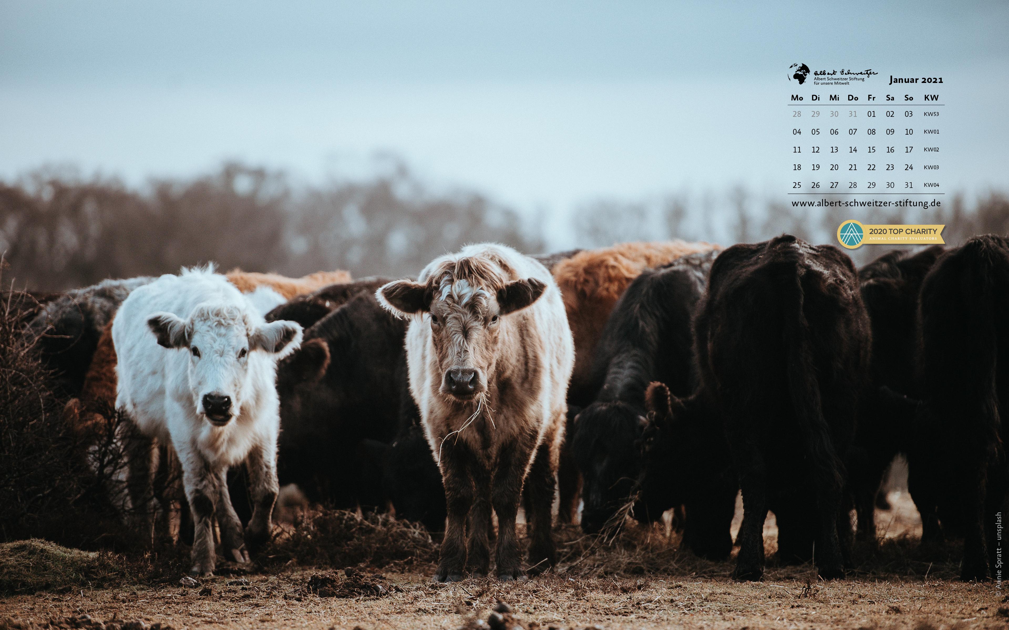 Tierkalender 16:10