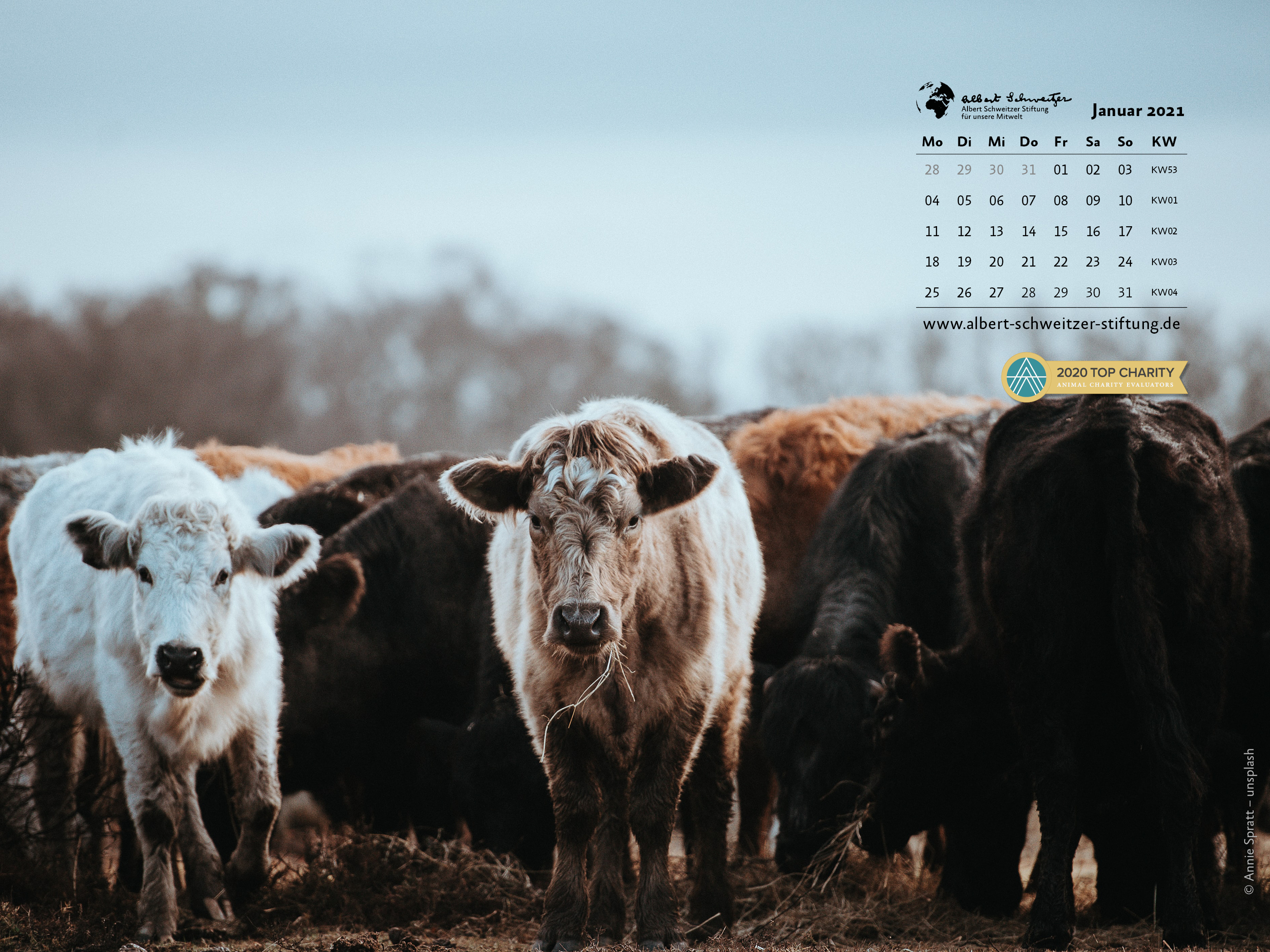 Tierkalender 4:3