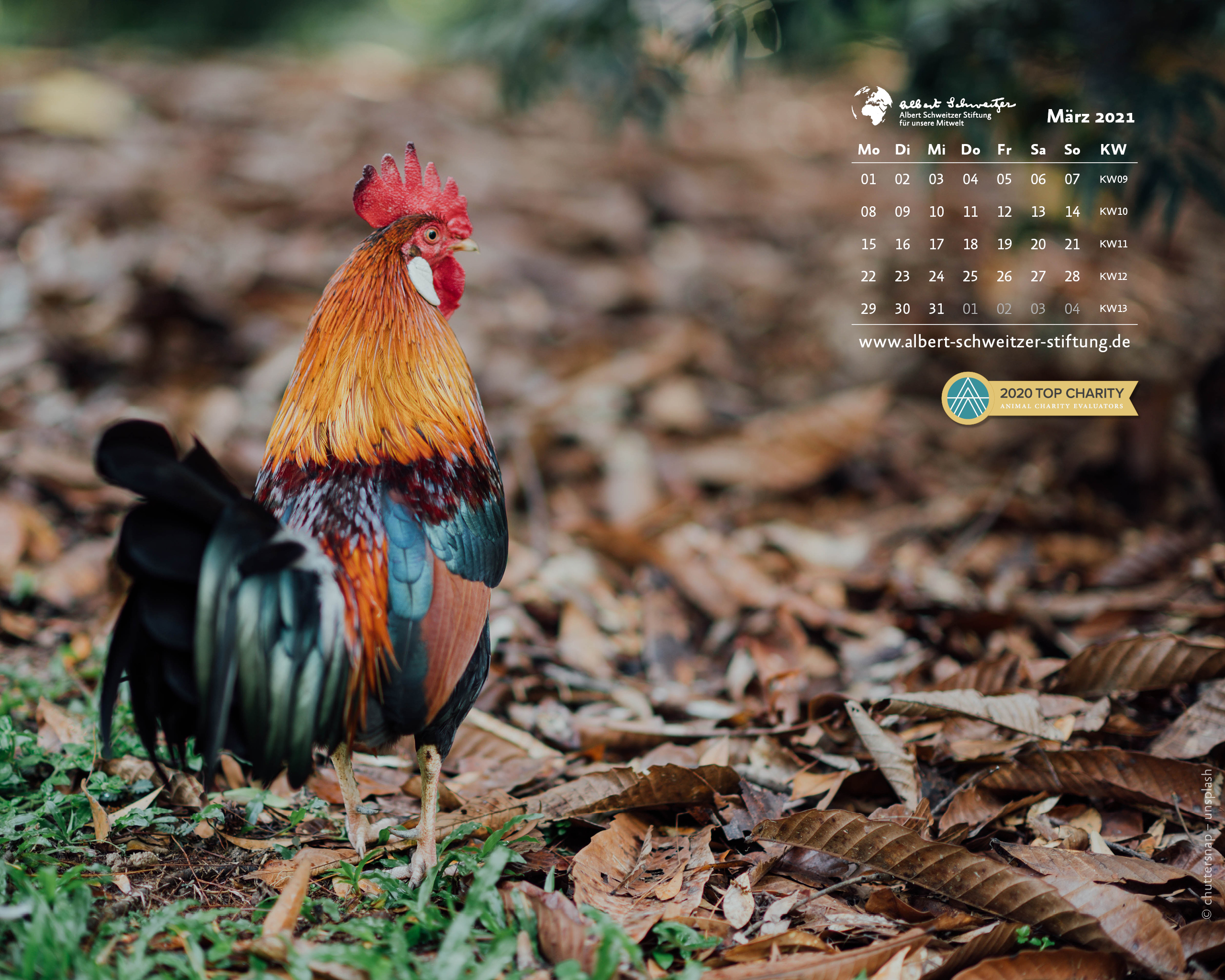 Desktophintergrund 5:4
