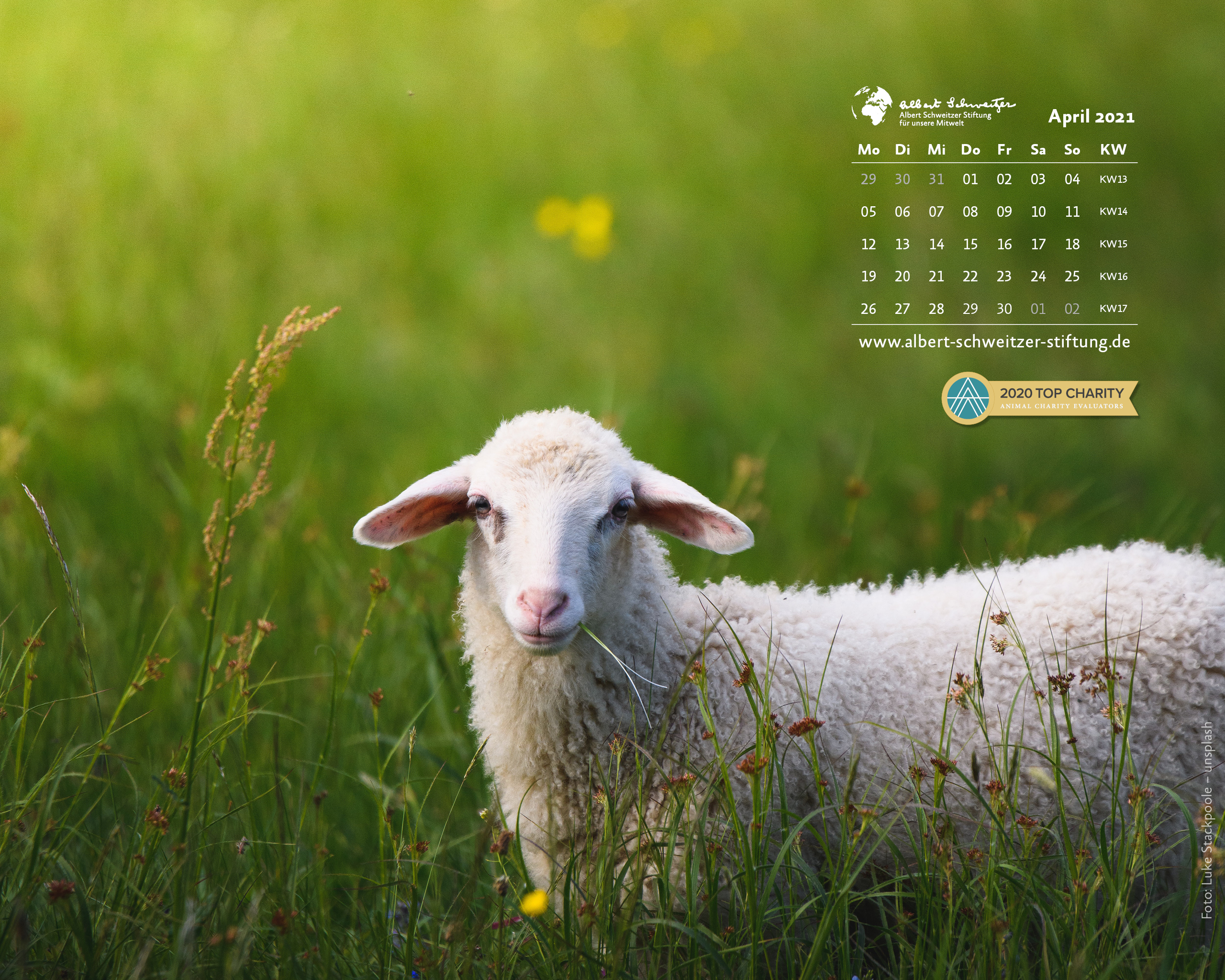 Desktophintergrund 5:4