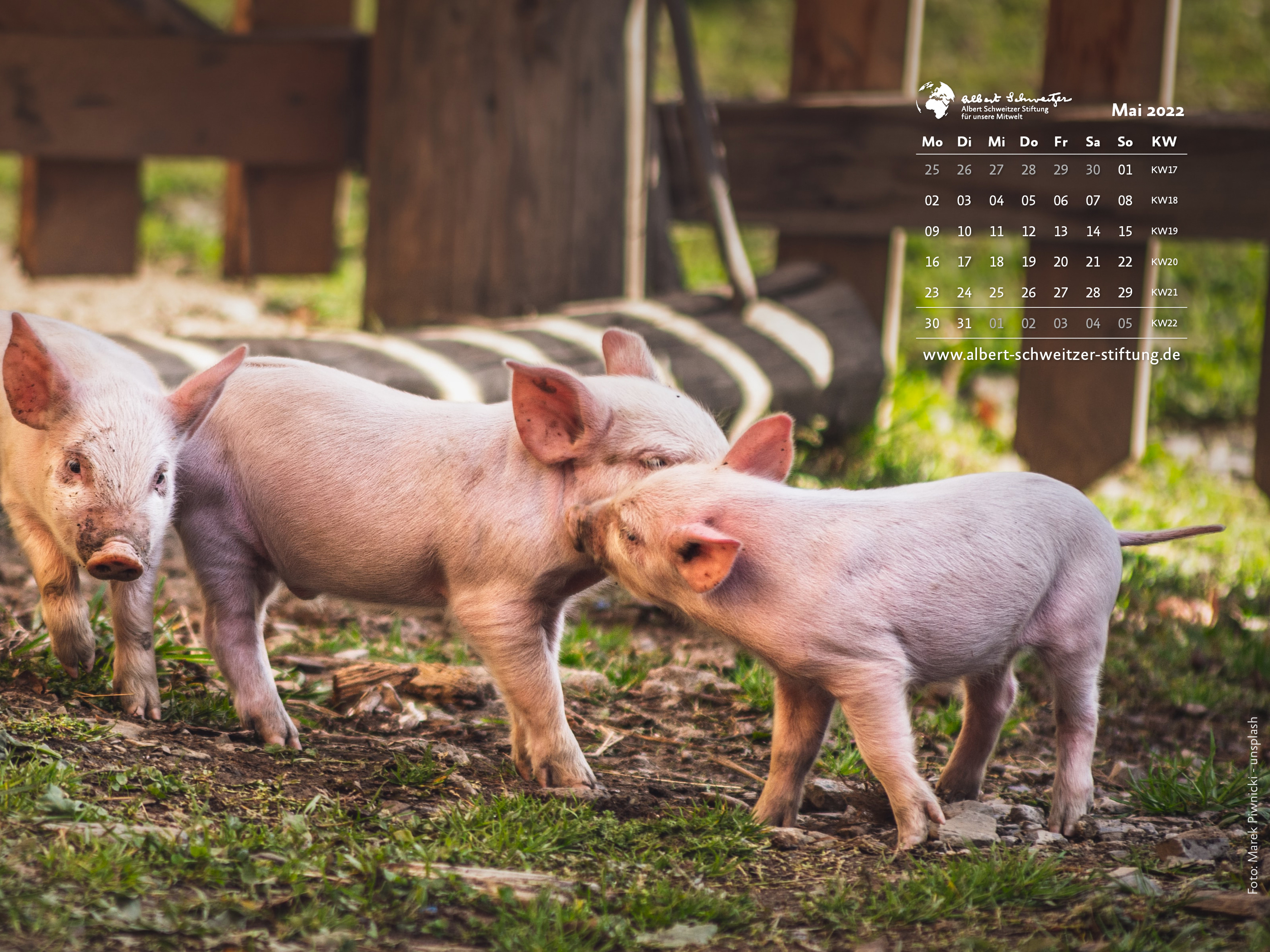 Tierkalender 4:3