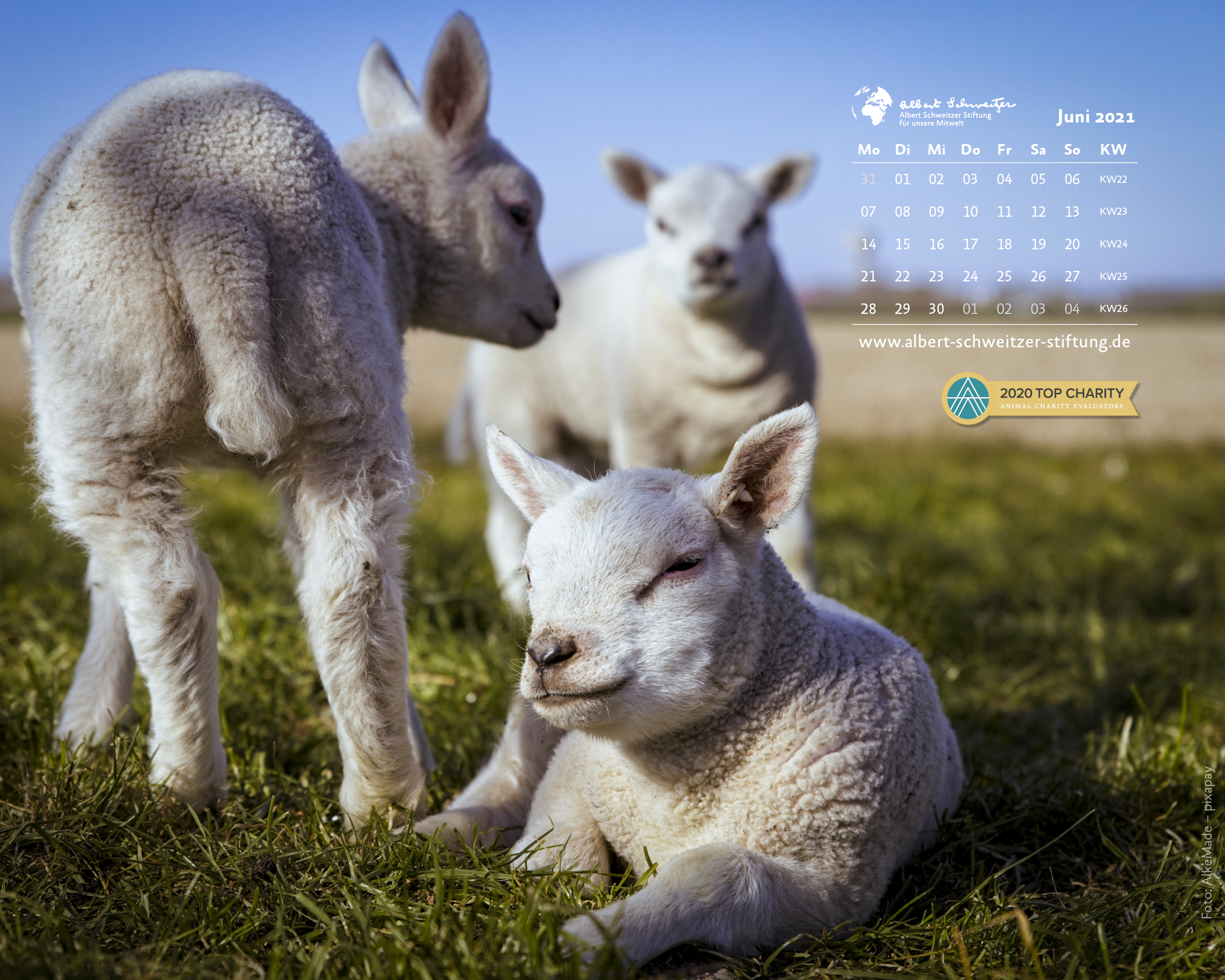 Desktophintergrund 5:4