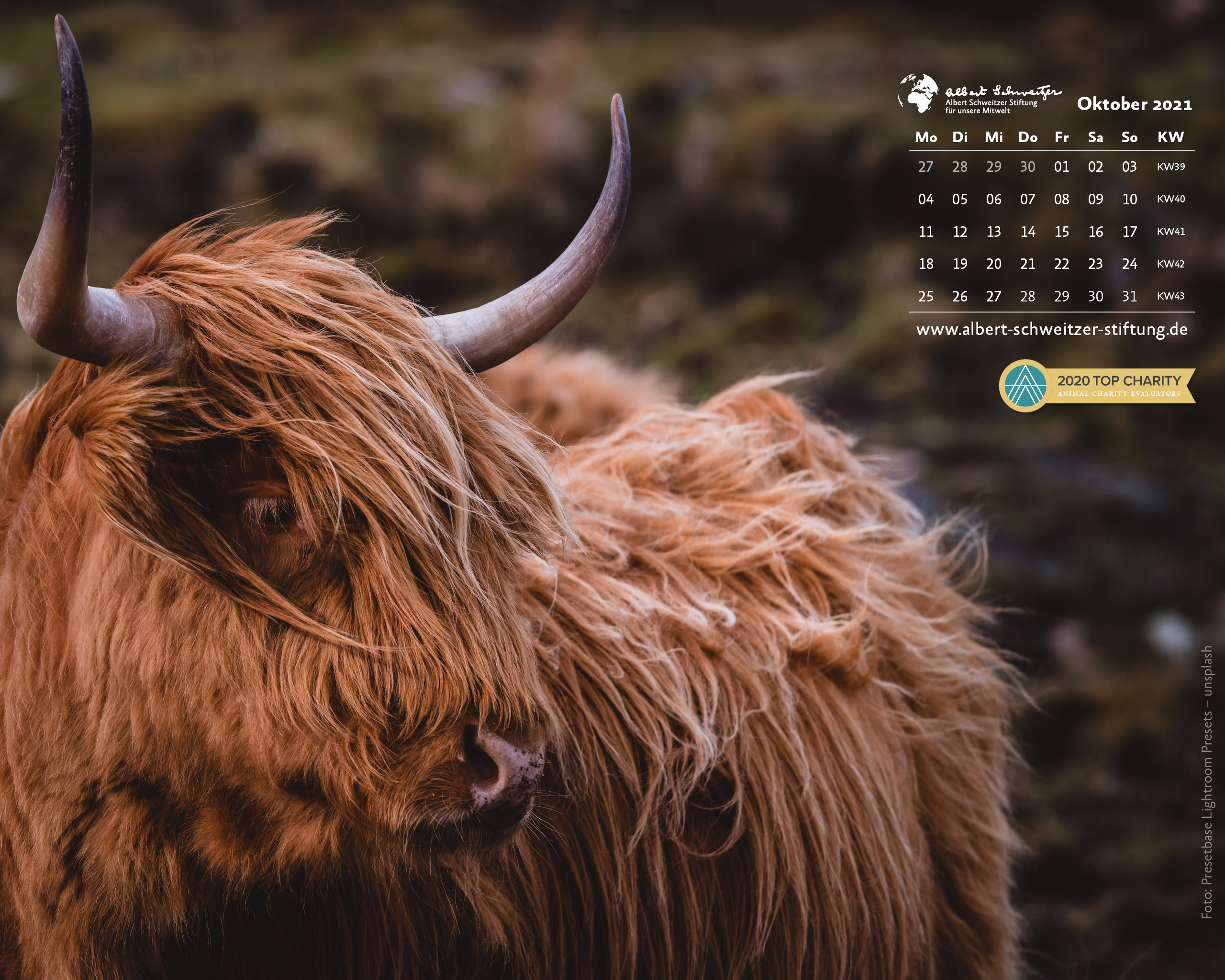 Desktophintergrund 5:4