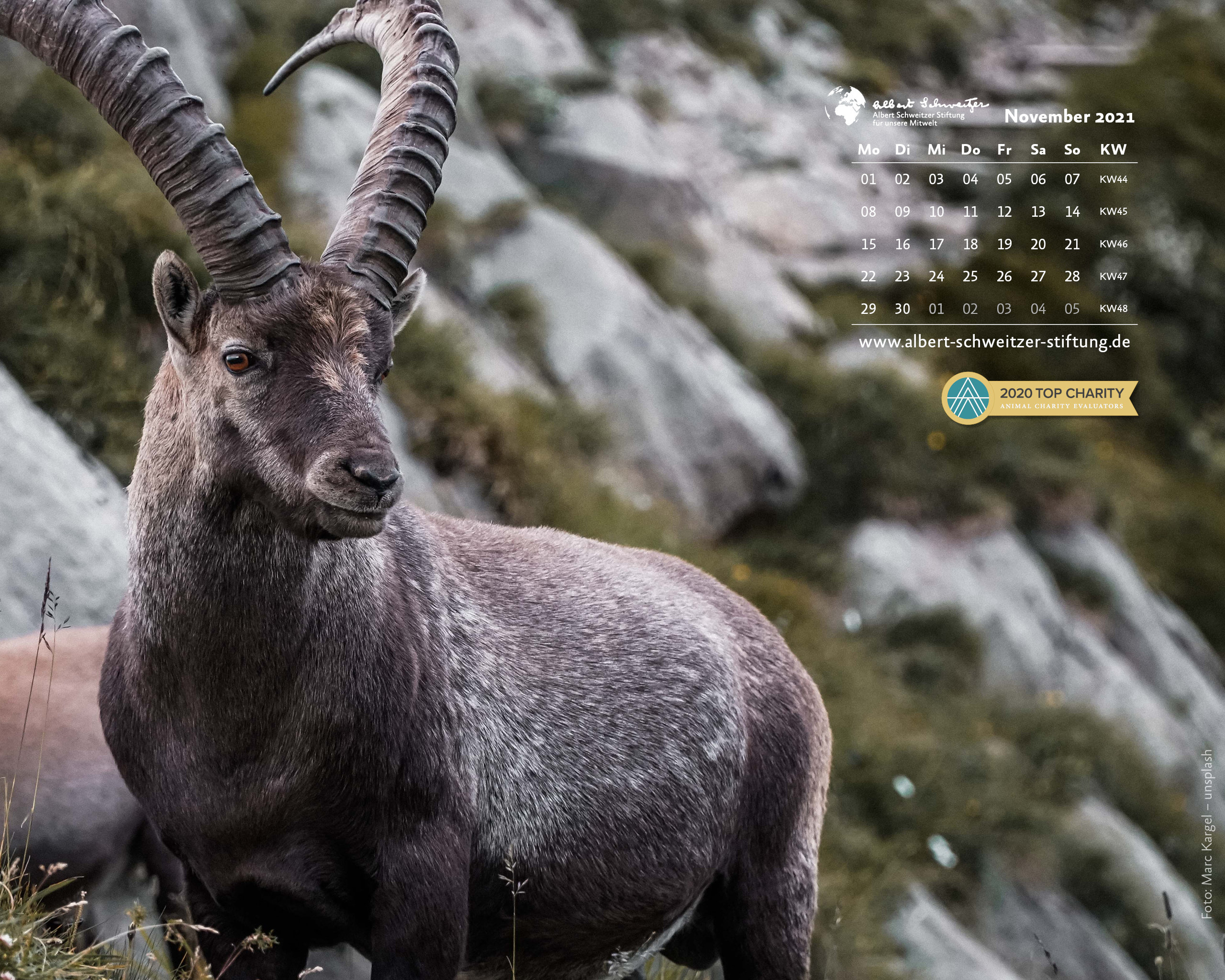 Desktophintergrund 5:4