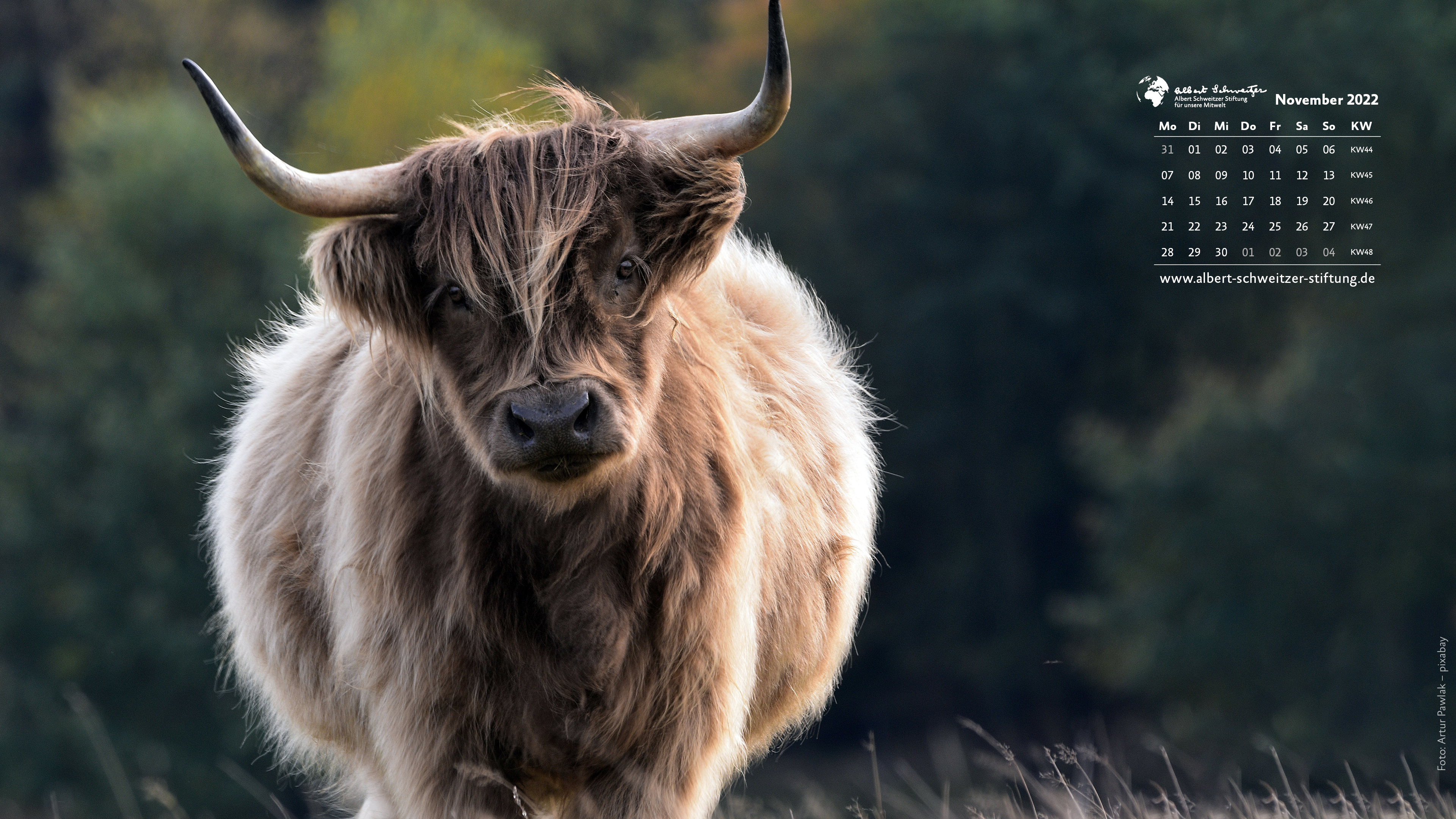 Desktophintergrund 16:9