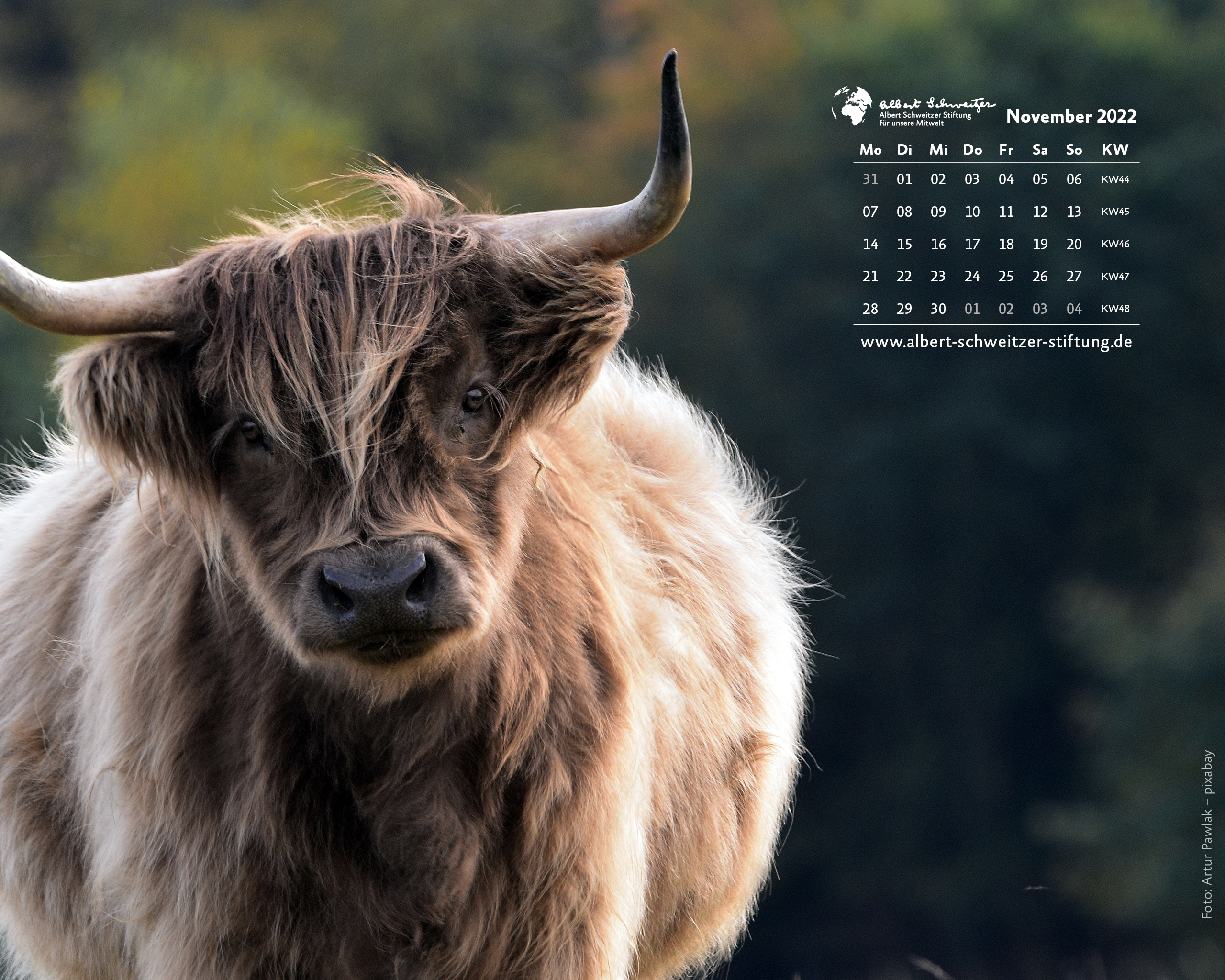 Desktophintergrund 5:4