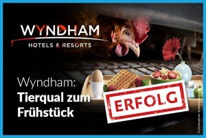 Wyndham serviert Käfigeier ab
