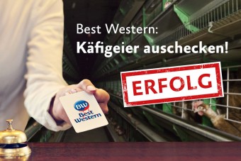 Erfolg: Best Western verzichtet auf Käfigeier
