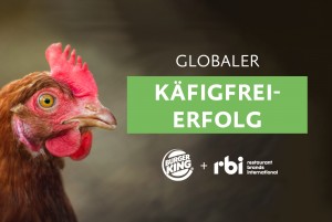 Globale Kampagne erfolgreich