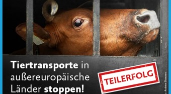 Teilerfolg: Nonnemacher fordert klare Regeln