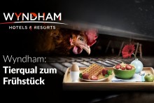 Käfigfrei: Wyndham soll sein Versprechen halten