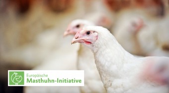Europäische Masthuhn-Initiative