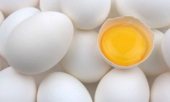 Erster Großhändler listet Käfigeiprodukte aus