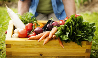 Update: A.N.D.-Position zur veganen Ernährung