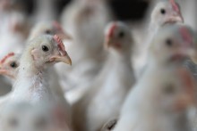 Initiative gewinnt 3 Studierendenwerke dazu