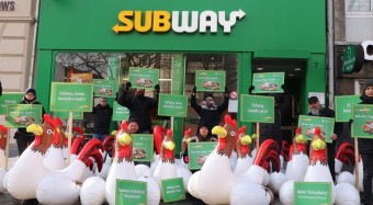 Hühner-Protest gegen Subway erreicht Köln