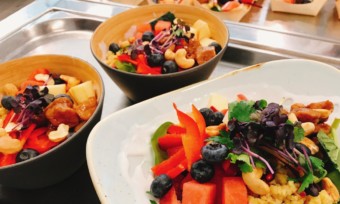 Vegan-Schulung für Caterer