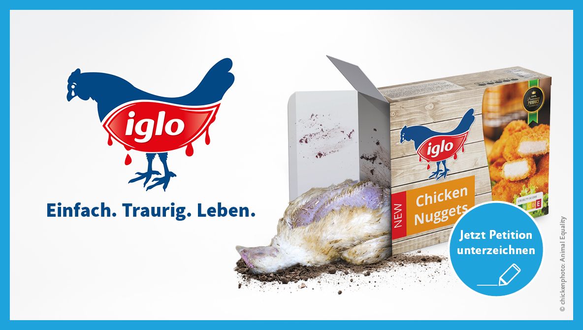 Webbanner der Kampagne