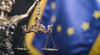 EU überarbeitet Tierschutzgesetze
