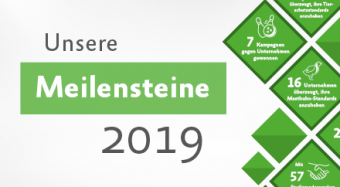 Unsere Meilensteine in 2019