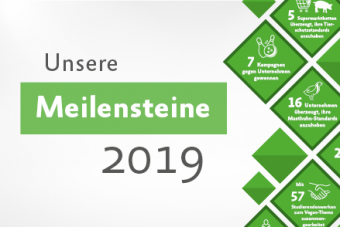 Unsere Meilensteine in 2019