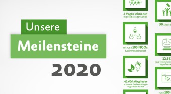 Unsere Meilensteine in 2020
