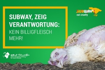 Pause beendet: Subway-Protest geht weiter