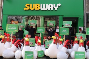 Hühner-Protest gegen Subway erreicht Köln