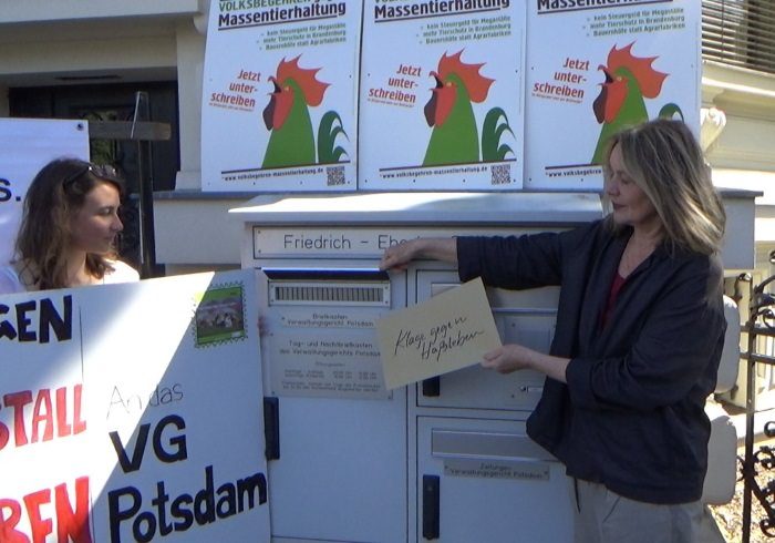 Schweinemast Hassleben vor Gericht