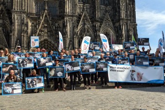 Silent Line in Köln war ein voller Erfolg