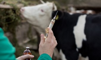 Neues Antibiotikagesetz in der EU