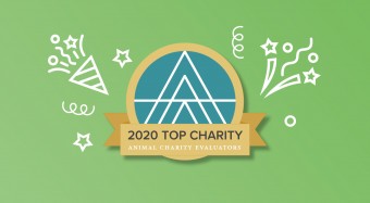 Albert Schweitzer Stiftung ausgezeichnet