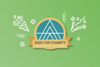 Wir sind Top Charity 2020