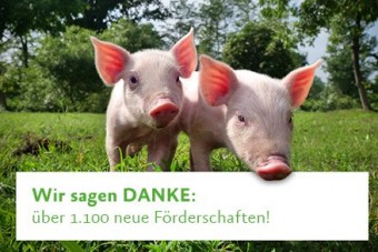 Erfolgreiche Verdopplungsaktion
