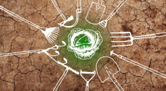 Tagungsband bio-vegane Landwirtschaft