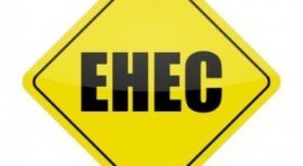 EHEC aus der Massentierhaltung