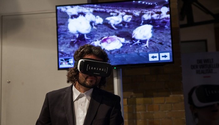 iAnimal-VR-Brille im Einsatz