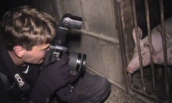Interview mit einem Undercover-Filmer