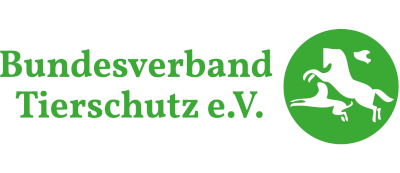 Logo BVT