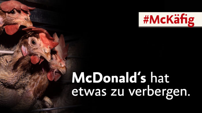 McDonald's lässt noch Käfigeier zu