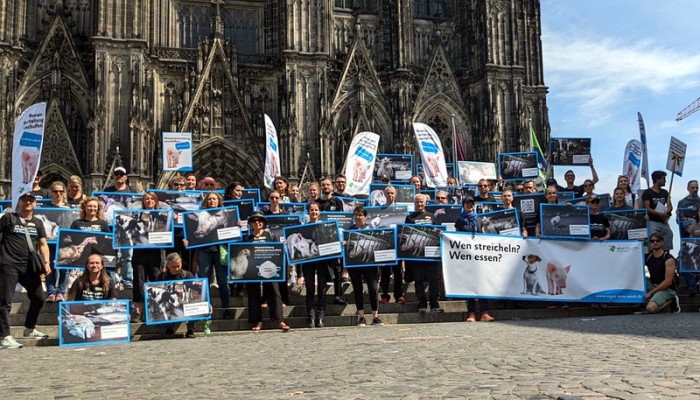 Silent-Line in Köln