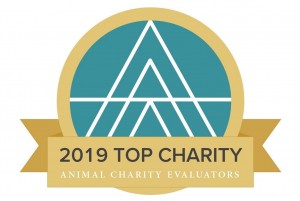 Auszeichnung Top Charity 2019