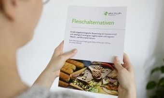 Studie Fleischalternativen im Test