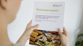 Fleischalternativen im Test: Meist gesünder