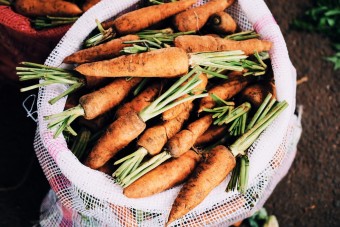 Interview: Vegan for Future